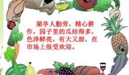 瓜瓜吃瓜ppt课件免费,揭秘PPT课件中的趣味与知识